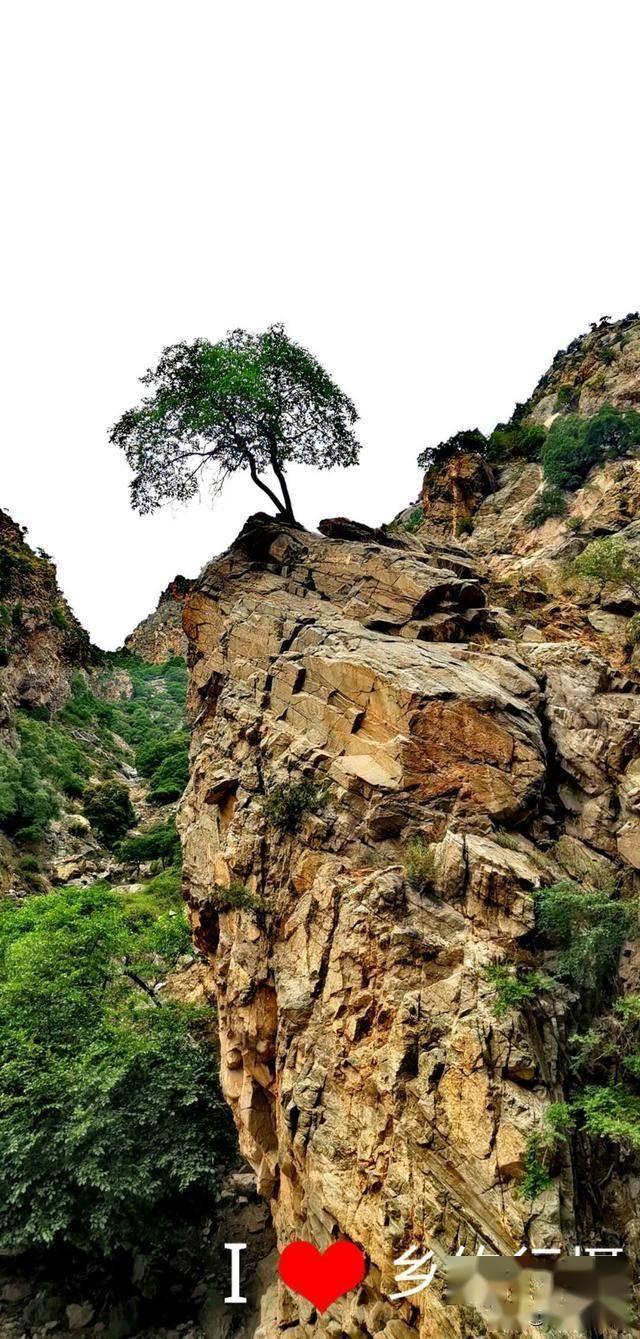 郁闷,百度知道团队地带的“请输入贴吧地址”,怎么确定贴吧地址啊,也不知道做的对不对。。求解,谢谢红迪网-最新热门话题与讨论平台